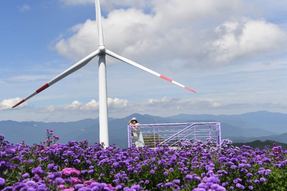 2025 감악산 꽃별 여행 3