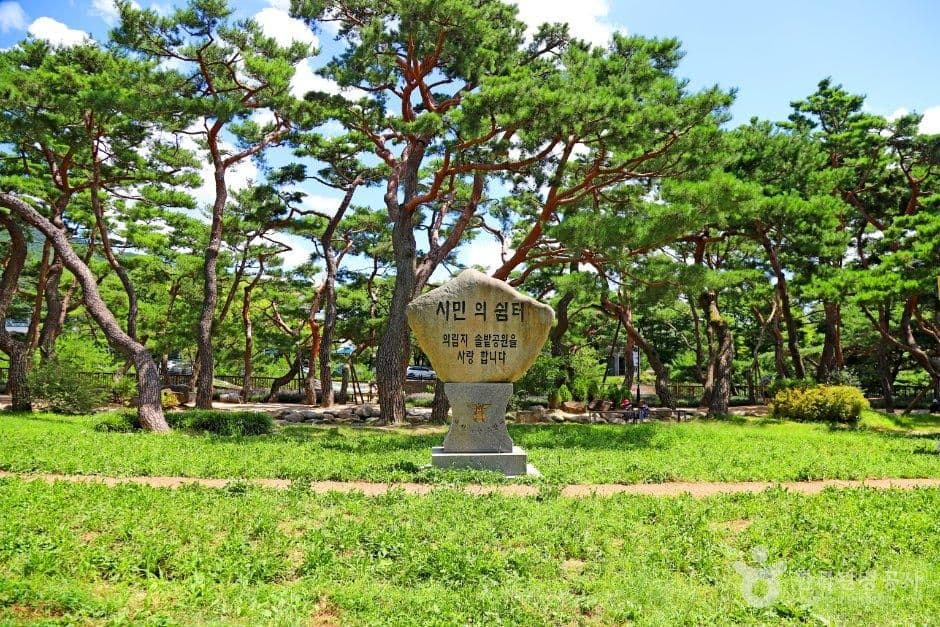 의림지 솔밭공원