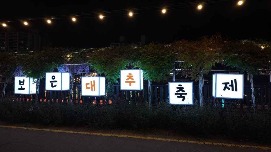 2026 보은대추 축제 (7).JPG