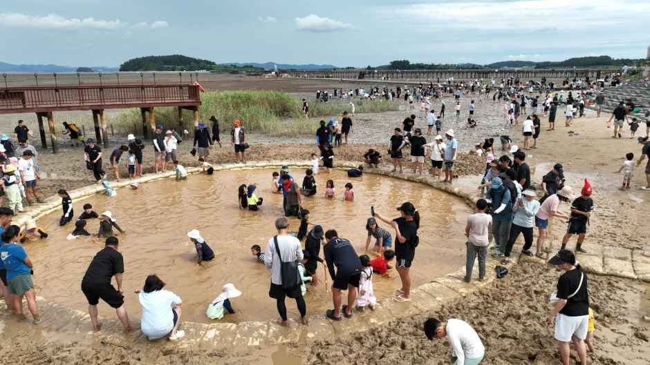 무안 황토 갯벌축제