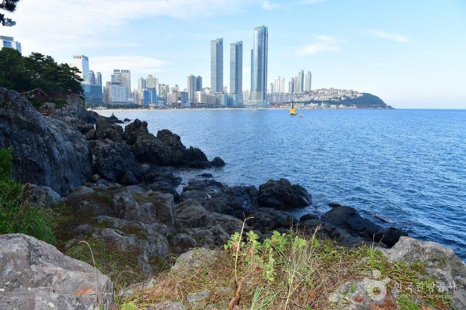 해운대 동백섬