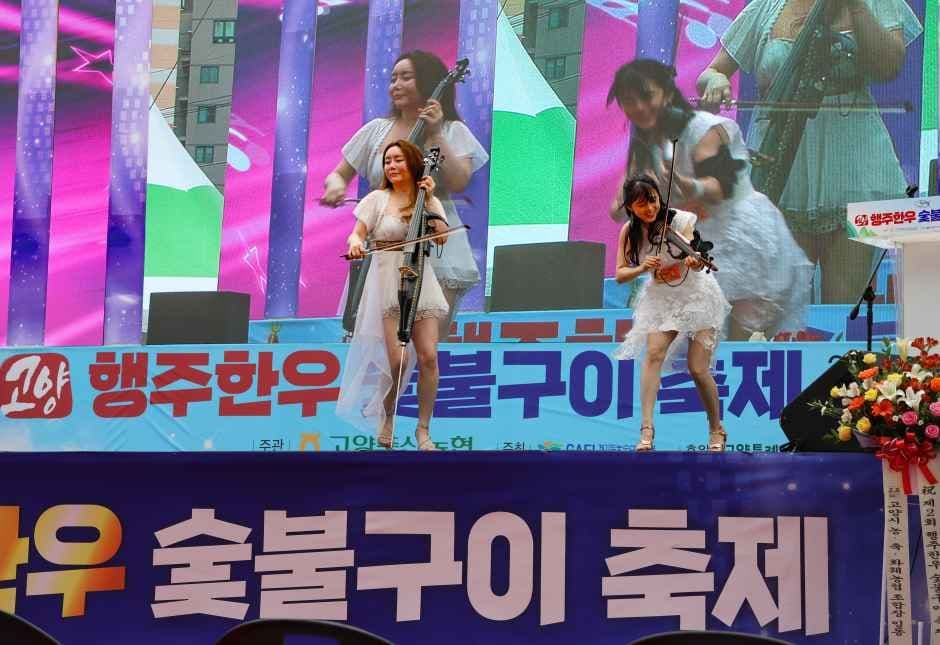 2026 고양행주한우 숯불구이축제 (2).jpg