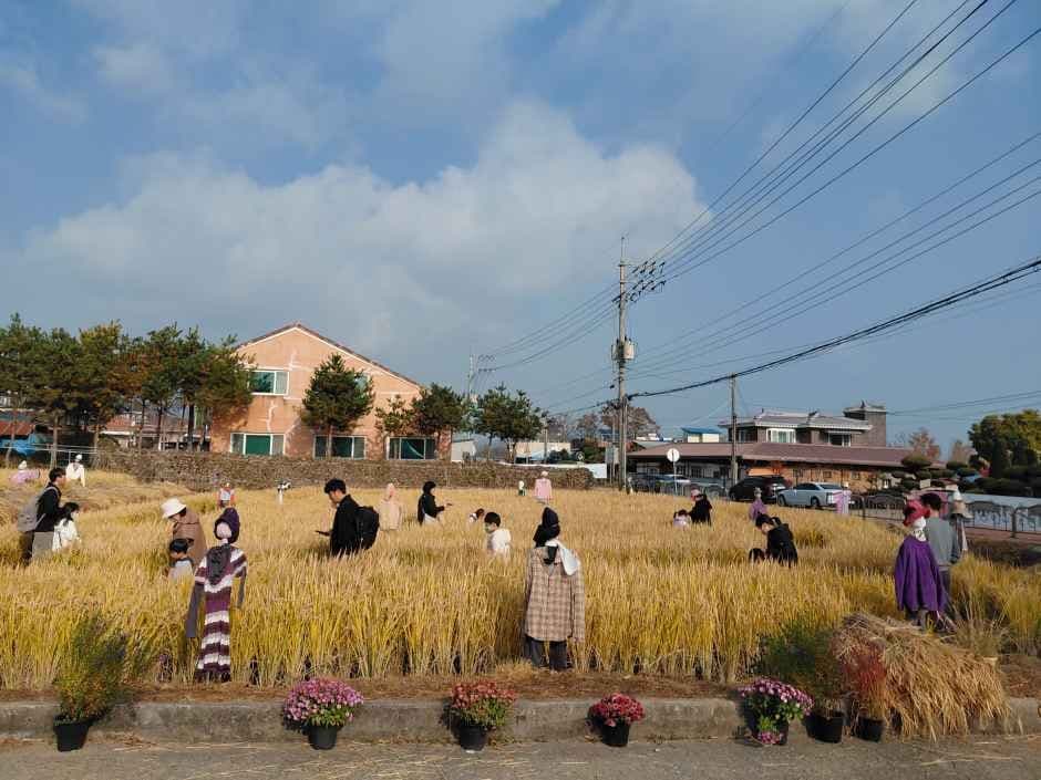 2026 의좋은 형제 축제 (3).jpg