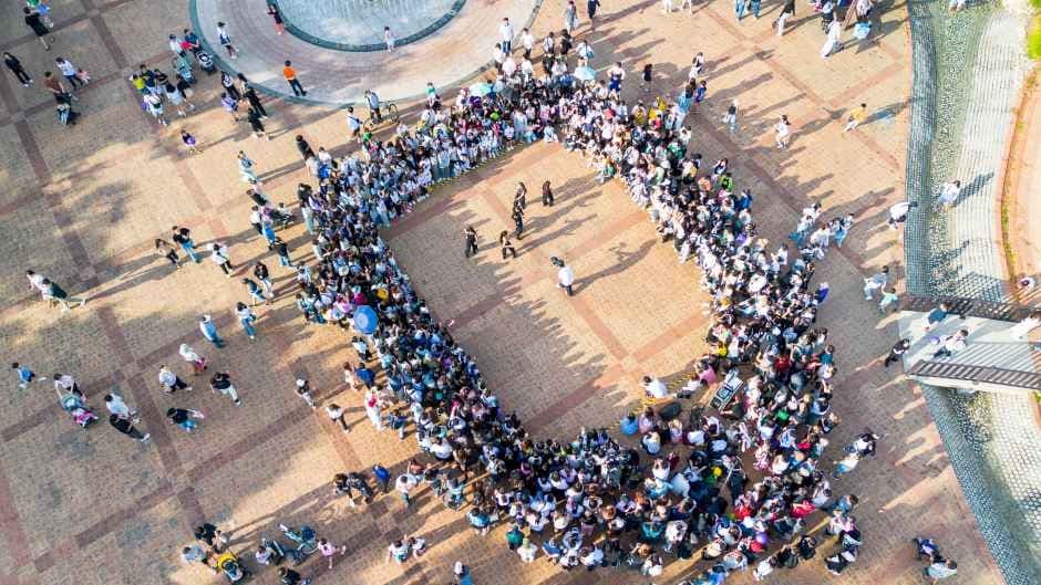 2026 안양춤축제 (2).JPG