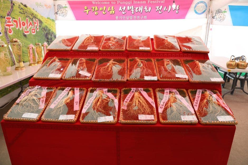 2026 영주 풍기인삼축제 (2).JPG
