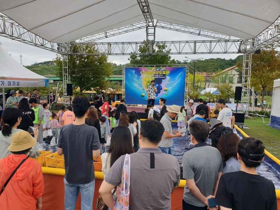 2026 영동포도축제 (2).jpg