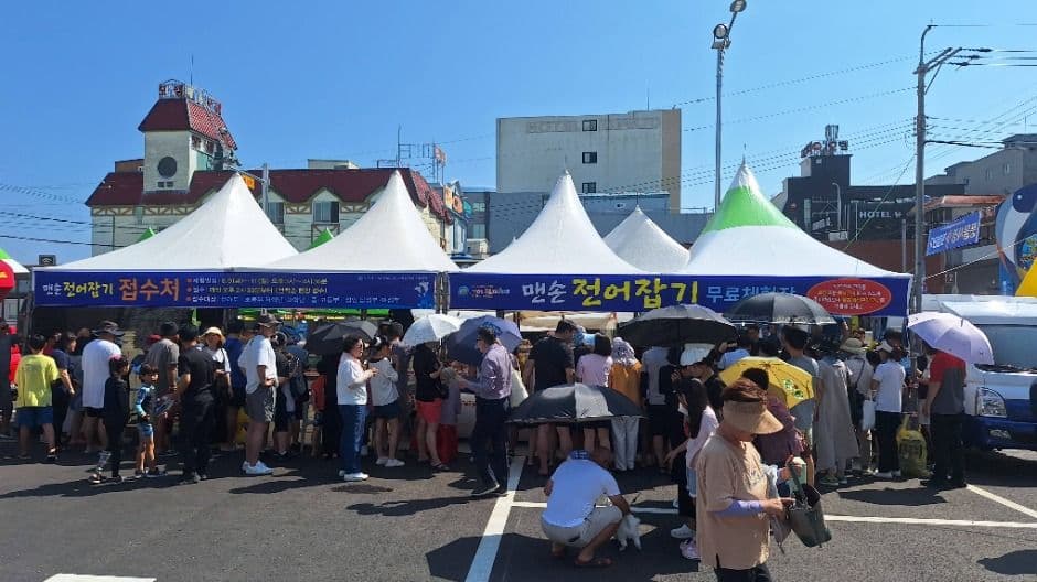 2025 사천시 삼천포항 자연산 전어축제 4