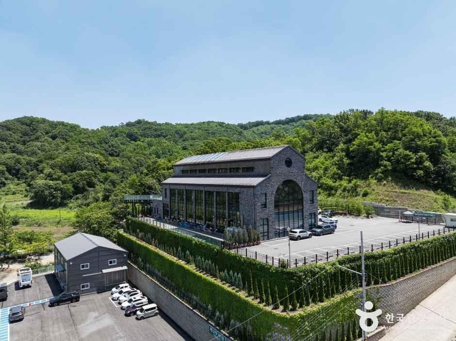 트리브링