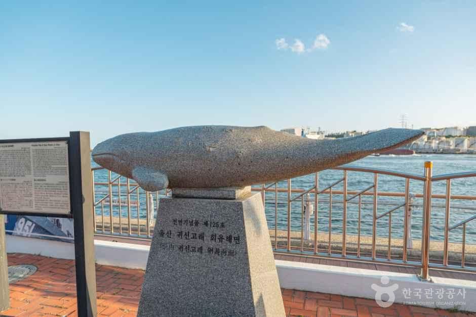 울산 귀신고래 회유해면