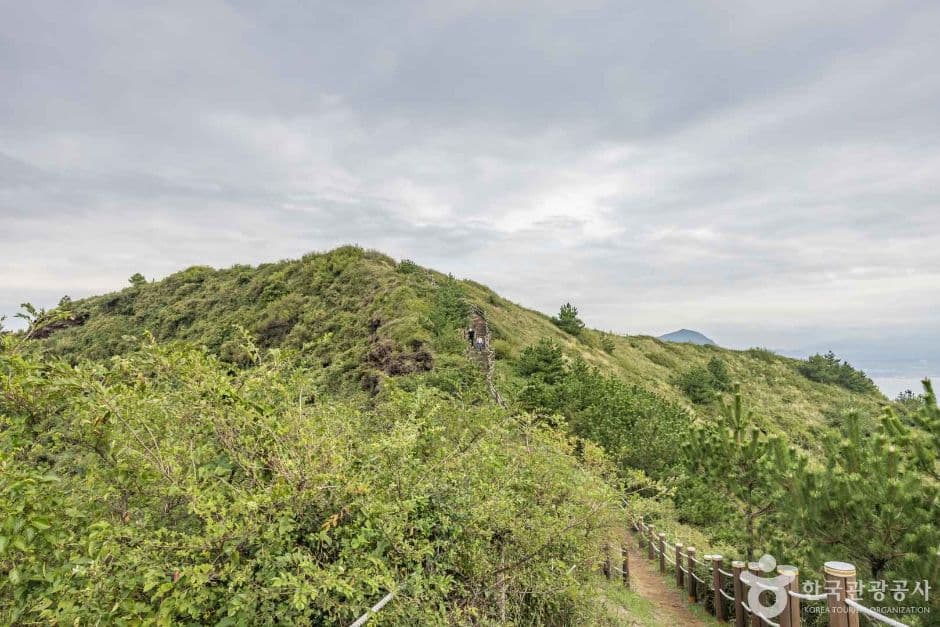 송악산