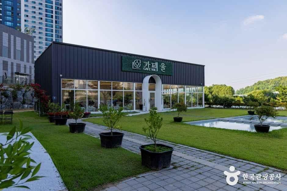 카페율