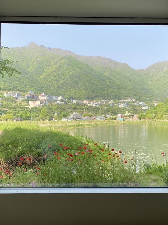 농도