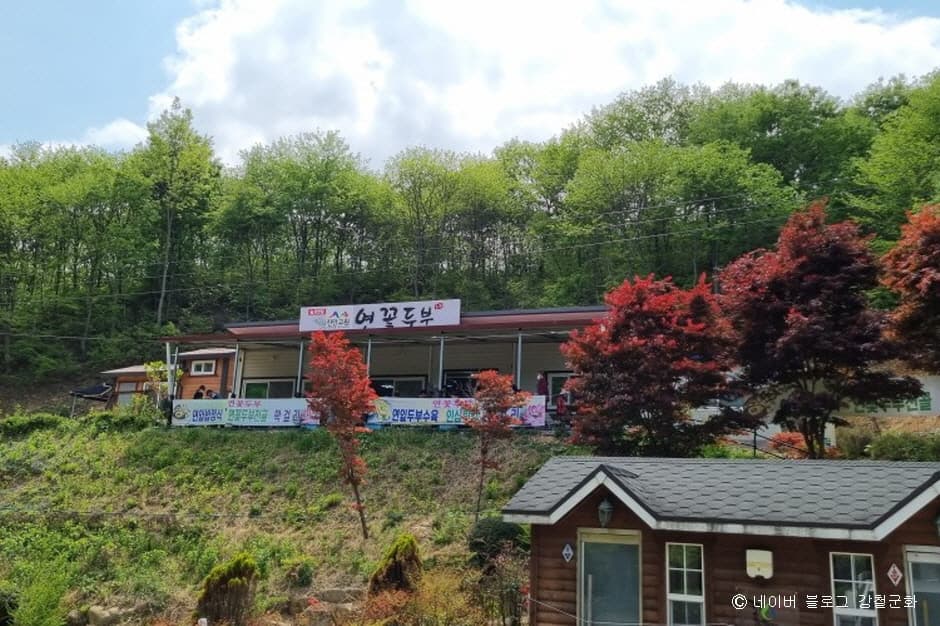 연꽃두부