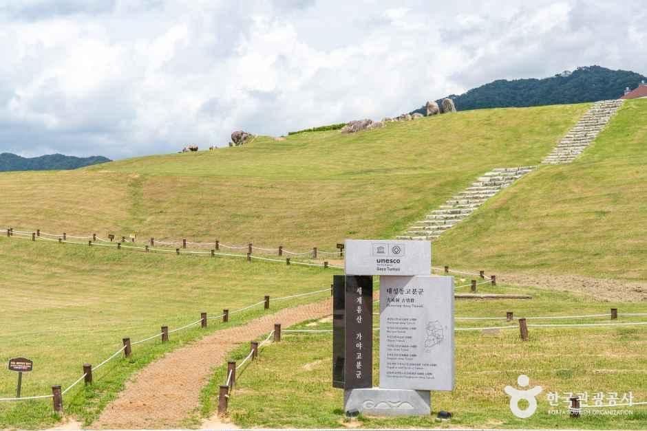 김해 대성동 고분군