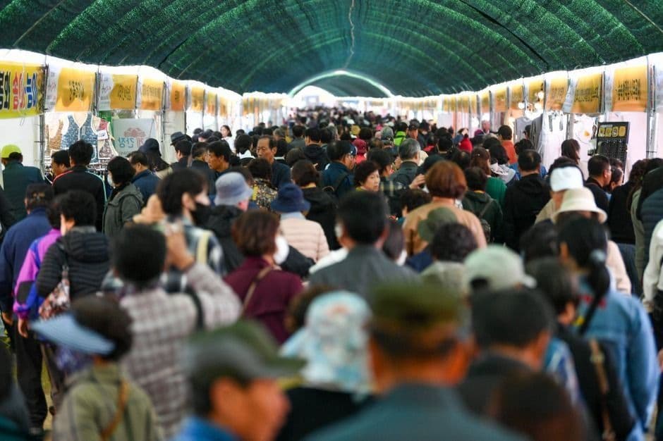 2026 영주 풍기인삼축제 (3).jpg