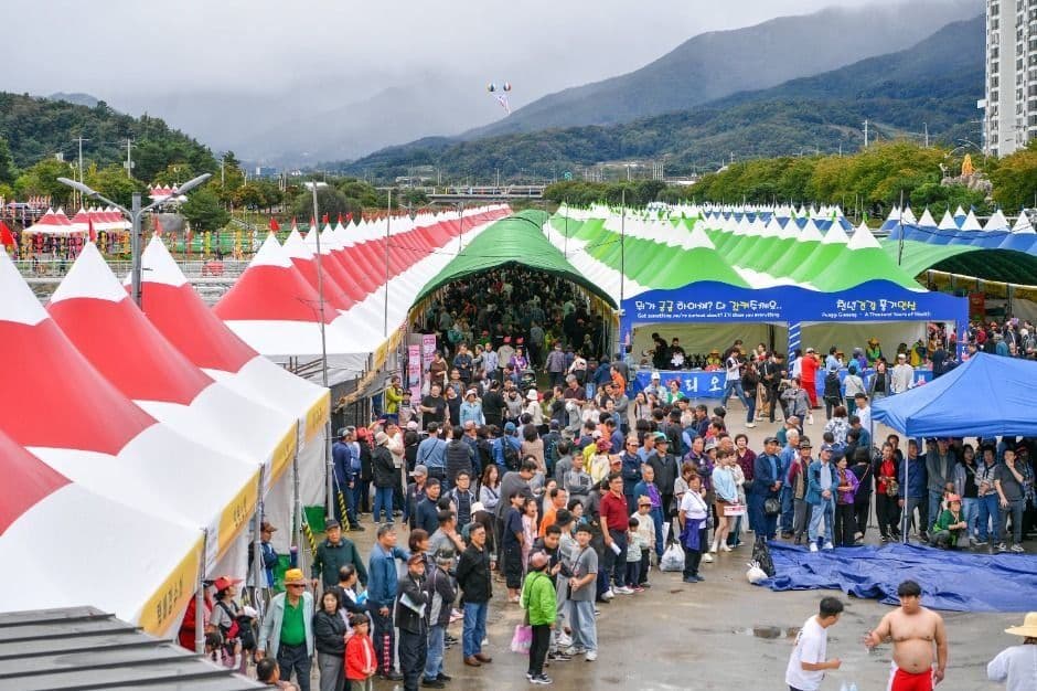 2026 영주 풍기인삼축제 (4).jpg
