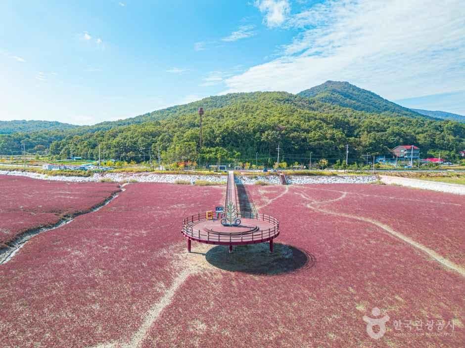 석모도 칠면초 군락지
